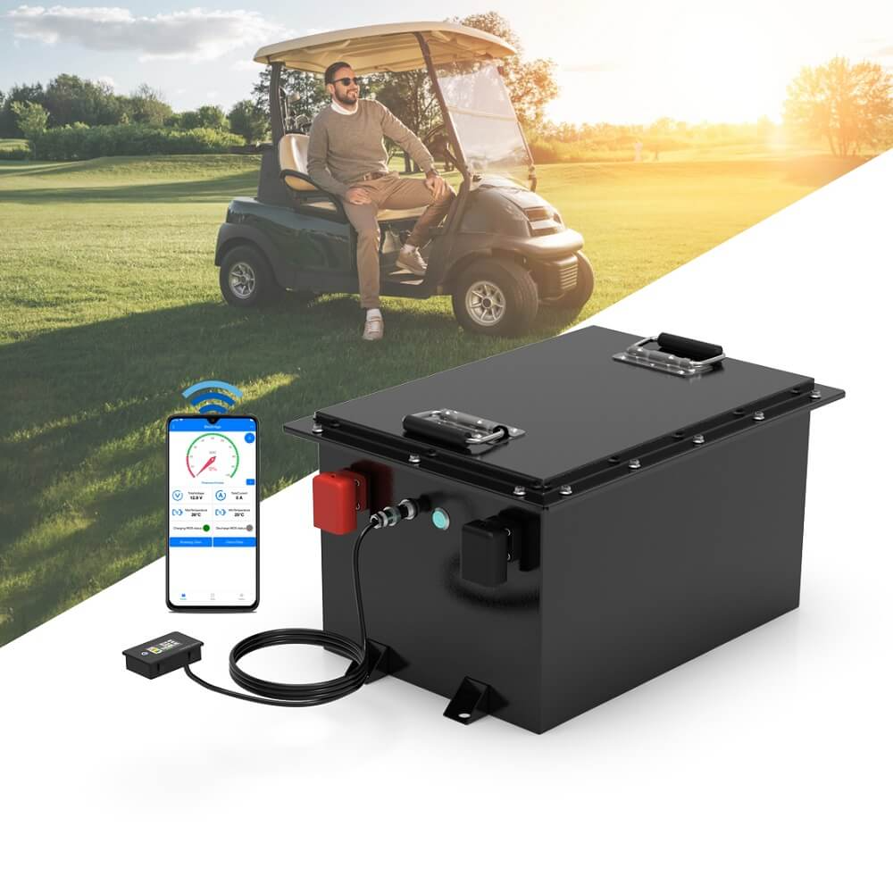 48V 50Ah Lithium Golf Cart Battery - LiFePO4 Batteries for Golf Carts - 1